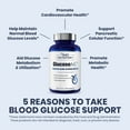 thumbnail image 6 of 1MD Nutrition GlucoseMD - Blood Sugar Support Supplement | with Patented Cinnamon Extract, Chromium, Berberine | 60 Capsules, 6 of 9