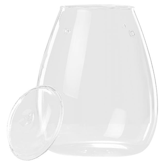 Glass Terrarium Container for Plants Clear Glass Material Sturdy and Fashionable for Home Office or Patio Decor 7.5 Inches