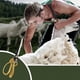 thumbnail image 4 of Multifunctional Thickened And Lengthened Wool Shears Wool Shearing Scissors With Spring, 4 of 9