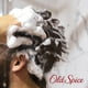 thumbnail image 4 of Champú y acondicionador Old Spice MamBaking 2 en 1, 1,3 litros, 4 of 6