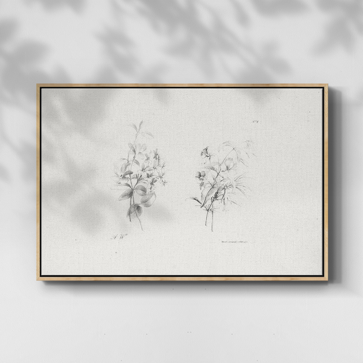 Vintage Sketch-IX By Wexford Home Framed in Natural Wood Wood Gallery Wrapped Canvas 17 in. x 25 in.