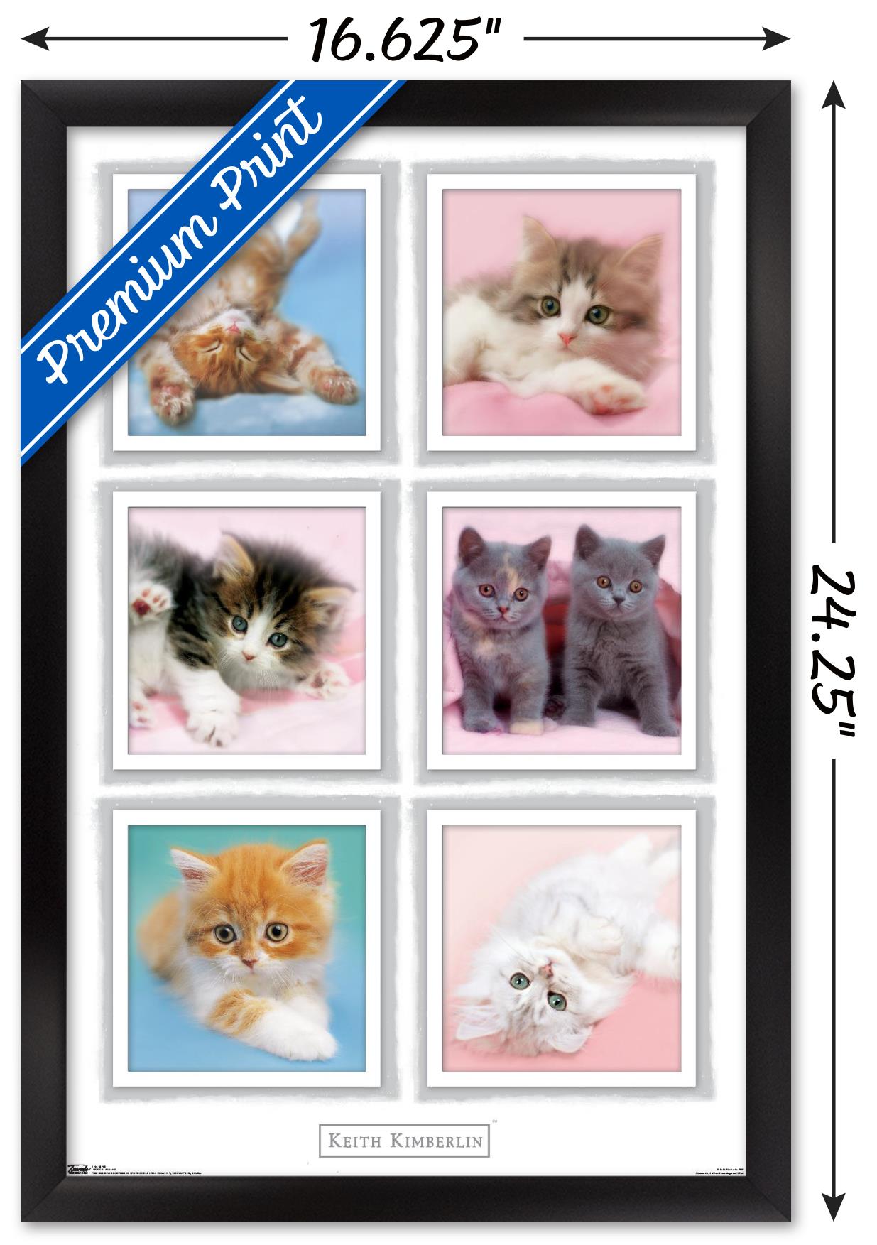 Keith Kimberlin - Kittens Wall Poster, 14.725" x 22.375", Framed
