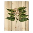 thumbnail image 3 of Designart 'Ancient Plant Life XXVI' Traditional Print on Natural Pine Wood, 3 of 5