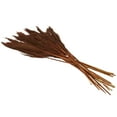 thumbnail image 6 of 35" Dried Plant Natural Foliage Pampas Bouquet with Long Stems, by DecMode, 6 of 8