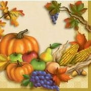 Thanksgiving Decorations - Fall Harvest Lunch Napkins - Fall Theme Napkins - 16 Count