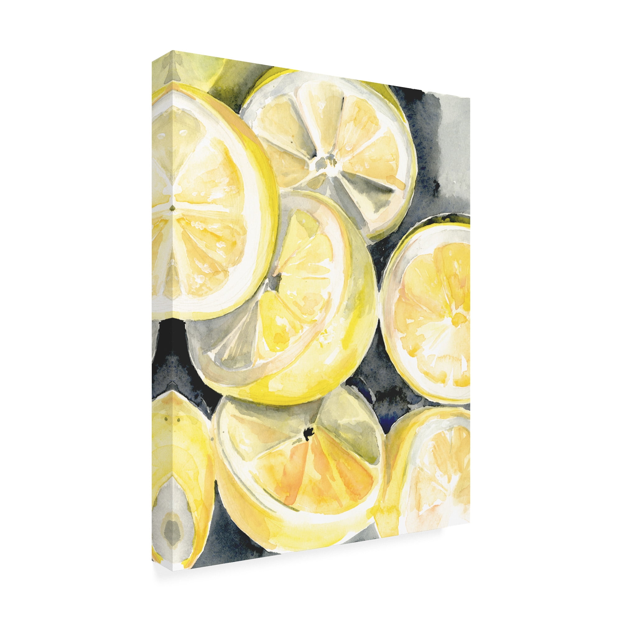Trademark Fine Art 'Lemon Slices I' Canvas Art by Jennifer Paxton Parker