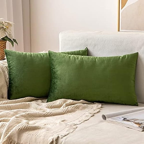 Eryueer Velvet Cushion Covers Soft Decorative Square Throw Pillow Case Pillowcases for Livingroom Sofa Bedroom with Invisible Zipper 12"x20" 30cm x 50cm 2 Pieces Matcha Green