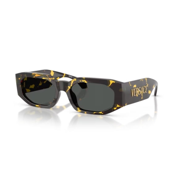 Versace Men's 0Ve4489u Bold Rectangular Sunglasses Brown