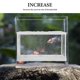 thumbnail image 3 of unbranded Red Para Incubadora De Peces Con Ventosas Y Marco Plástico Para De Acuario, 3 of 6