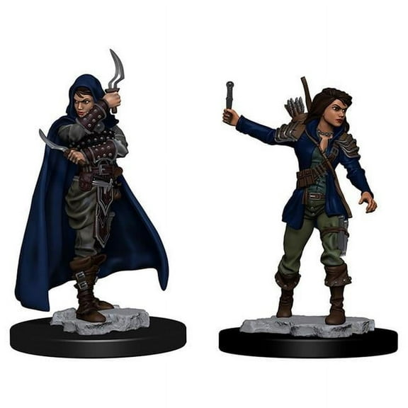 Pathfinder Battles Deep Cuts Unpainted Miniatures: Human Female Rogue