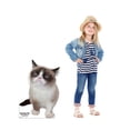 thumbnail image 3 of Advanced Graphics 3047 37 x 26 in. Grumpy Cat Cardboard Cutout, 3 of 3