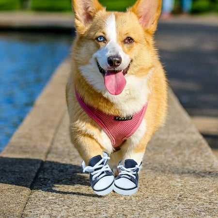 Worgeous 4pcs Fashion Stars Denim Pet Dog Puppy Non-slip Lace-up Casual Shoes Sneakers Boots - Size XS (Blue)
