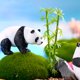 thumbnail image 3 of Bewildely decorativa de Panda de 4 Uds., adornos lindos, accesorio de Animal, miniaturas de simulación de paisaje, regalo de Micro Decoración del hogar Grande, 3 of 6