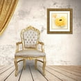 thumbnail image 3 of Stalus, Judy 12x12 Gold Ornate Wood Framed with Double Matting Museum Art Print Titled - Frills, 3 of 4