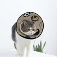 thumbnail image 1 of Sport Ball Soccer Soft Cat Dog Recovery Collar Adjustable Cat Cone Wound Healing Protective After Surgery for Large/Medium/Small Dogs Cat, 1 of 7