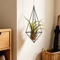 thumbnail image 6 of Geometric Air Plant Holder with Hanging Chain, Metal Hanging Tillandsia Holder, 3 Different Size Macrame Plant Holder, for Small Air Plants Indoor Garden Wall Decor, 6 of 6
