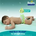thumbnail image 4 of Pampers All Round Protection Pant Style Baby Diapers Large for 9-14kg, 64 Count, 4 of 7
