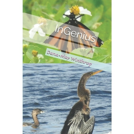 InGenius (Paperback)