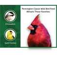 thumbnail image 6 of Pennington Classic Wild Bird Feed and Seed, 50 lb. Bag, 1 Pack, Dry, 6 of 9