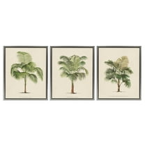 Stupell Industries Les Palmiers Botanical Trio Botanical & Floral Painting Gray Floater Framed Canvas Art Print Wall Art, 17 x 21, Set of 3