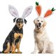 thumbnail image 1 of Diadema para perro ACTIVE Accesorios de Disfraces de Halloween Zanahoria y Orejas de Conejo, 1 of 5