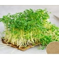 thumbnail image 6 of 10 Pack Jute Plant Grow Mat for Microgreens,Bexikou Hydroponic Grow Pads,Hemp Fiber Mats Sprouting Pads Microgreens Growing Kit for Indoor Organic Wheatgrass Sprouts(9.84" X 9.84" ), 6 of 7