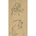 thumbnail image 3 of Richard Nicolaüs Roland Holst 15x24 Black Modern Framed Museum Art Print Titled - Three Tiger Lilies (1878 - 1938), 3 of 5