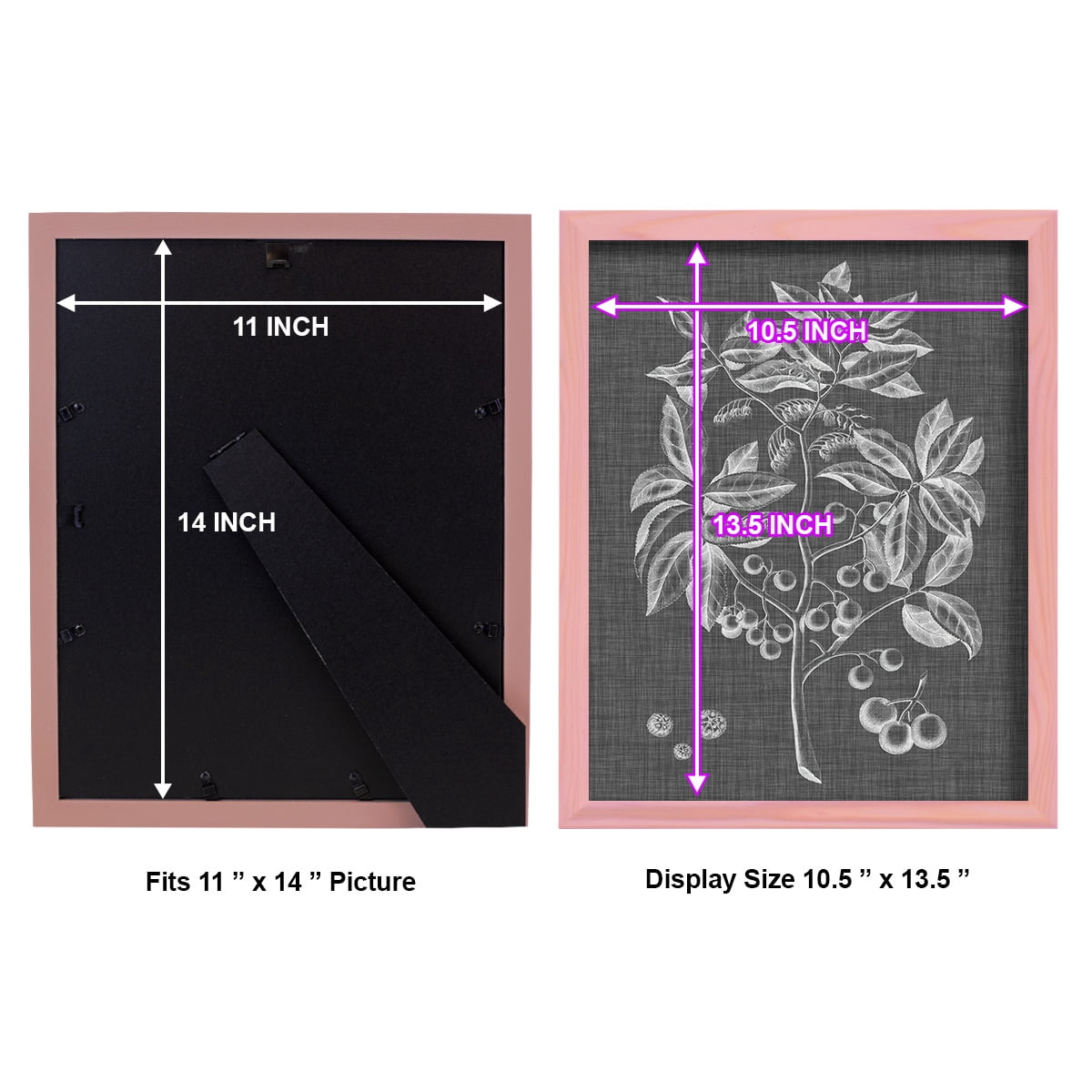Graphic Foliage VI - Framed Print w/glass - Sunset Pink