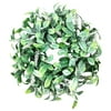 Exywaves Garden and Home Decor Simulation Garland Door Decorations Ring Small Thorn Door Leaf Wreath