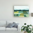 thumbnail image 3 of Trademark Fine Art 'Elevated Crop II' Canvas Art by Grace Popp, 3 of 3