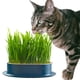 thumbnail image 5 of Catter Césped Hydroponic Cat Grass Bandeja para Facilitar El Crecimiento (oscuro) Azul, 5 of 9