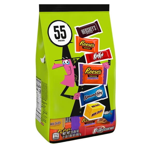 Hershey Assorted Chocolate, Halloween Candy Variety Bag, 23.05 oz (55 Pieces)