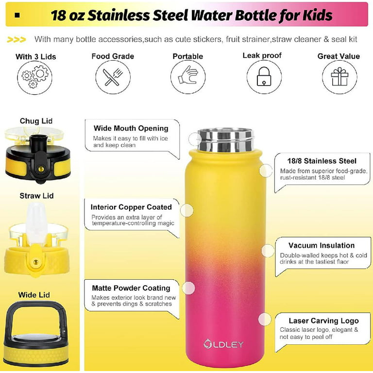 qbottle Insulated Water Bottles with Straw Lid – Stainless Steel Water  Bottle – Leak Proof Metal Water Bottle – No Sweat – Reusable – Onyx Black,  23.6