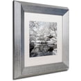 thumbnail image 2 of Trademark Fine Art "Reflection II" Canvas Art by Philippe Hugonnard, White Matte, Silver Frame, 2 of 4