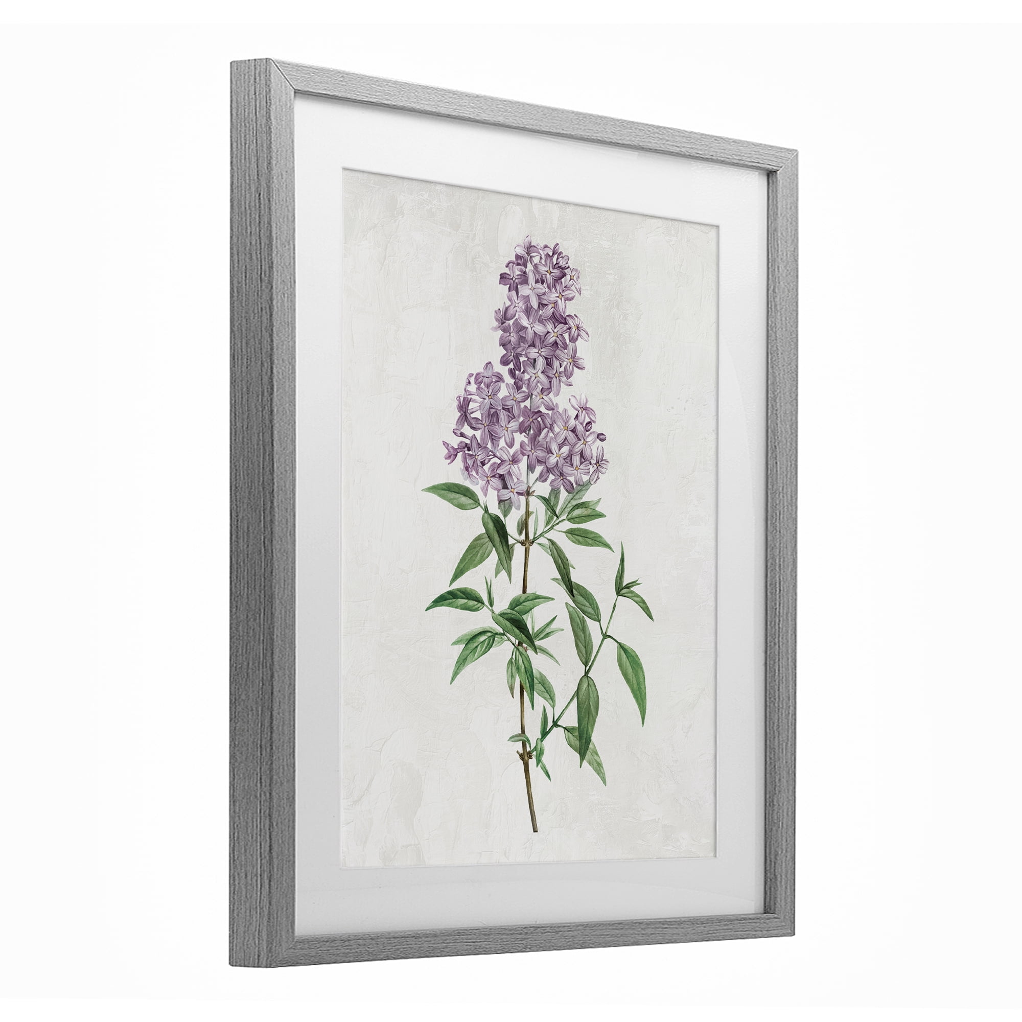 Stupell Industries Lilac Blossoms Blooms Gray Framed Print Under Glass, design by Kim Allen