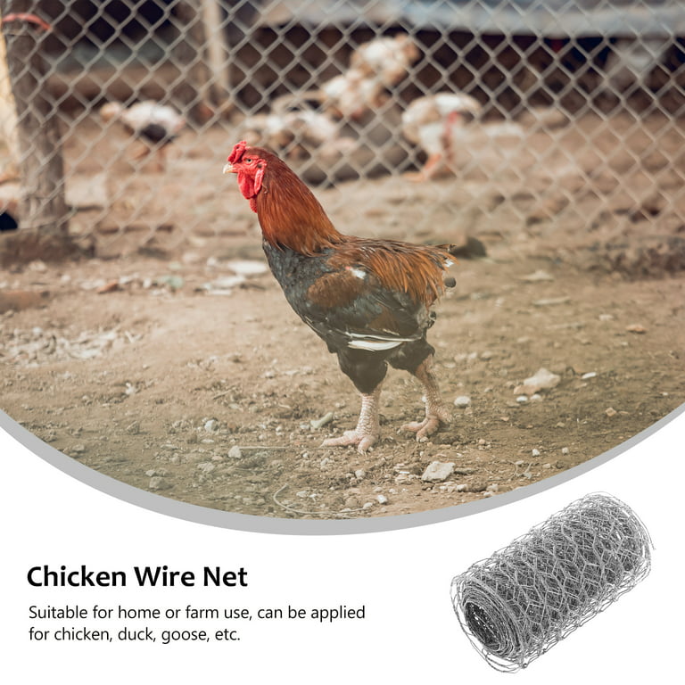 Chicken Wire,Garden Chicken Wire Fencing, Poultry Galvanized Chicken Wire  Mesh, Floral Chicken Wire Roll for Crafts, Chicken Netting for Rabbit  Plants 