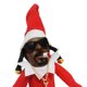 thumbnail image 4 of Atmósfera Festiva Adorno Muñeca Elfo La Decoraciones Navideñas, 4 of 9