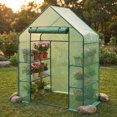 thumbnail image 2 of Greenhouse for Outdoors,55 x 28 78'' Small Greenhouse,Walk in Plant Greenhouses with 3 Tiers 6 Shelves,Heavy Duty Durable PE Cover,Heavy Garden and Backyard, 2 of 5