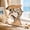2pcs, variant on 6.97" Shark-Shaped Seashell Display Case, Wooden Shell Storage Holder with Clear Acrylic Window, Tabletop Beach Decor for Coastal Keepsakes 1pcs