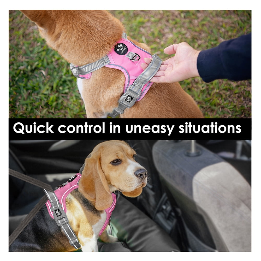 PHOEPET No Pull Dog Harness, Unique Colors Reflective Adjustable Dog Vest, with Soft Training Handle Metal Clips for Small Medium Large Dogs (Baby Pink Base & Grey Straps)