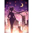 thumbnail image 1 of Juego completo de bordado estampado Moon Beauty Warrior DIY 11CT Kit de punto de cruz de algodón Hugtrwg Para estrenar, 1 of 1
