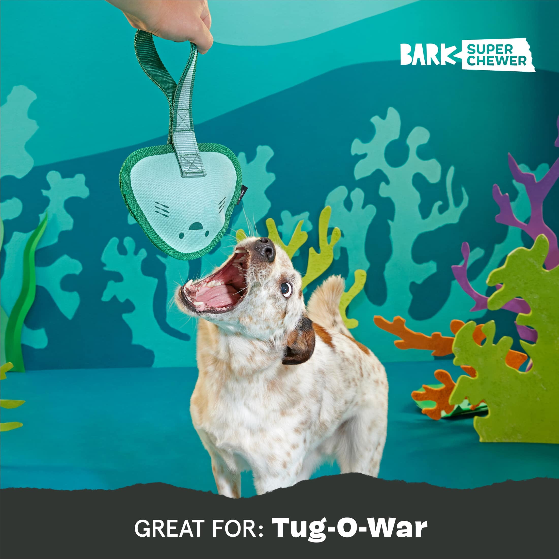 BARK Super Chewer Flingray Tug Ocean Sting Ray Blue Rubber Dog Toy
