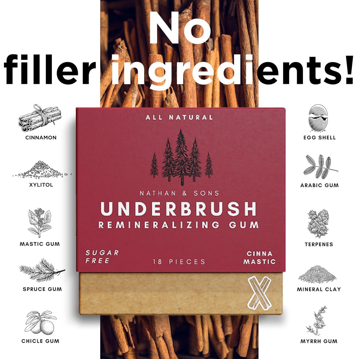 UnderBrush Cinna-Mastic Chewing Gum – Sugar-Free Xylitol Gum with Hydroxyapatite – No Gluten, Sugar, Aspartame and Sucralose - Tree Sap Chewing Base – 2 Pack