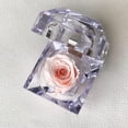 thumbnail image 1 of Mini rosa preservada Mina’an-flor eterna en cajita de regalo color Pink Champagne, 1 of 4