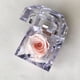 thumbnail image 1 of Mini rosa preservada Mina’an-flor eterna en cajita de regalo color Pink Champagne, 1 of 4
