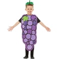 thumbnail image 2 of LIIPEE Kids Fruits Vegetables Costumes Boys Girls Unisex Cute Kindergarten Stage Performance Clothes,S, 2 of 5