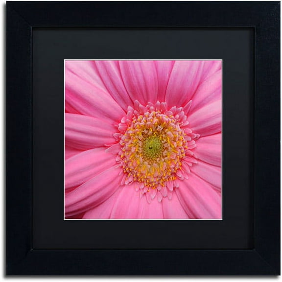 Trademark Fine Art "Pink" Canvas Art by Kurt Shaffer Black Matte, Black Frame