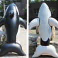 thumbnail image 3 of Orca Inflatable Doll Beach Party Outdoor Fun Summer Accessories Swimming Ring Inflatable Whale Water Party Toys Seat Ride_Perfect Gift, 3 of 4
