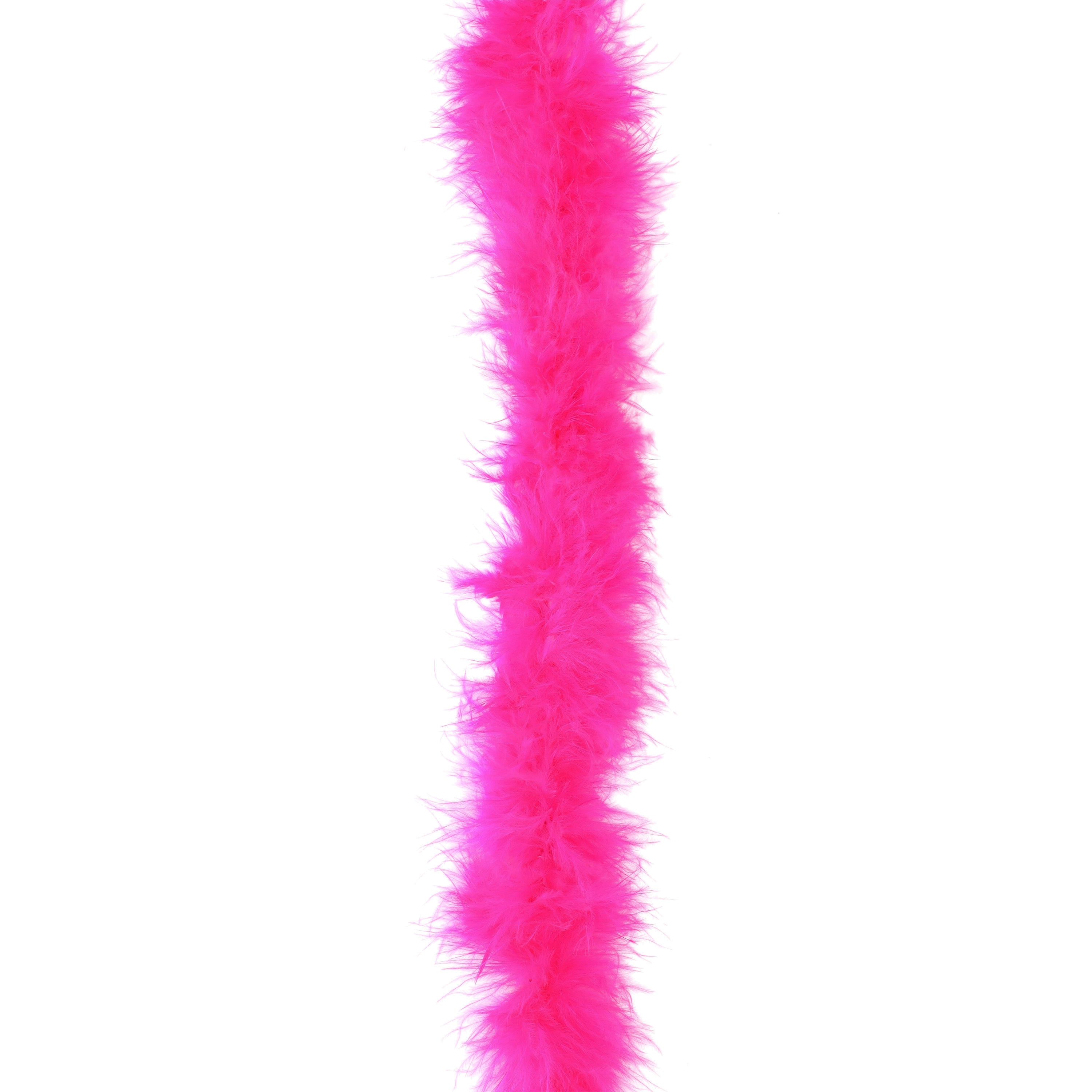 Pink Feathers Sorted by Color Display · Creative Fabrica
