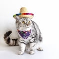 thumbnail image 4 of Sombrero de paja para mascotas, divertido sombrero de paja mexicano, decoración de fiesta para mascotas pequeñas/cachorros/gatos, cumpleaños Adepaton CPB-DE-LYY1910, 4 of 5